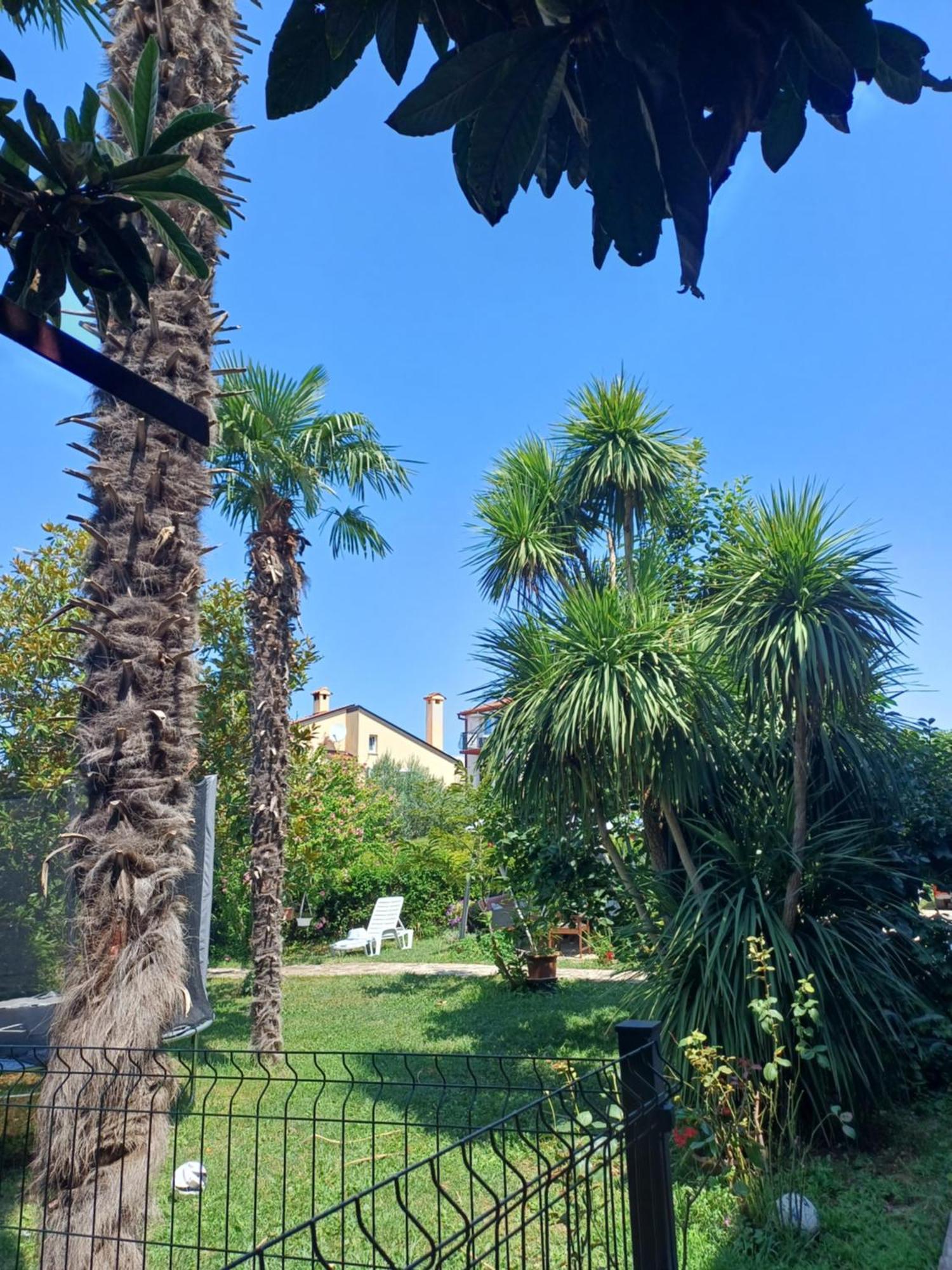 Odak App Rovinj Exterior foto
